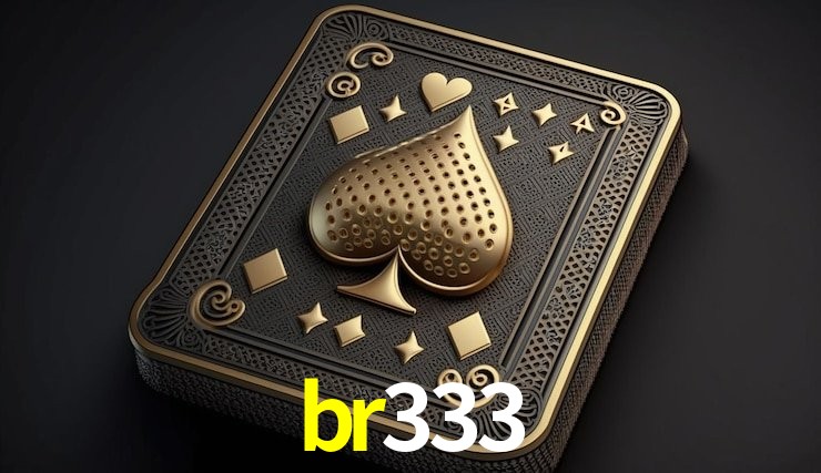 Experiência VIP br333